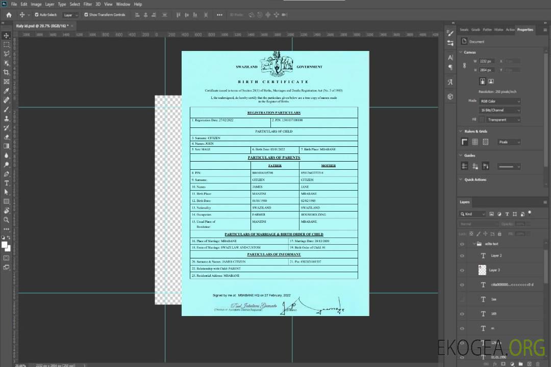 Modèle d'acte de naissance au Swaziland au format Word et PDFModèle d'acte de naissance au Swaziland au format Word et PDF template